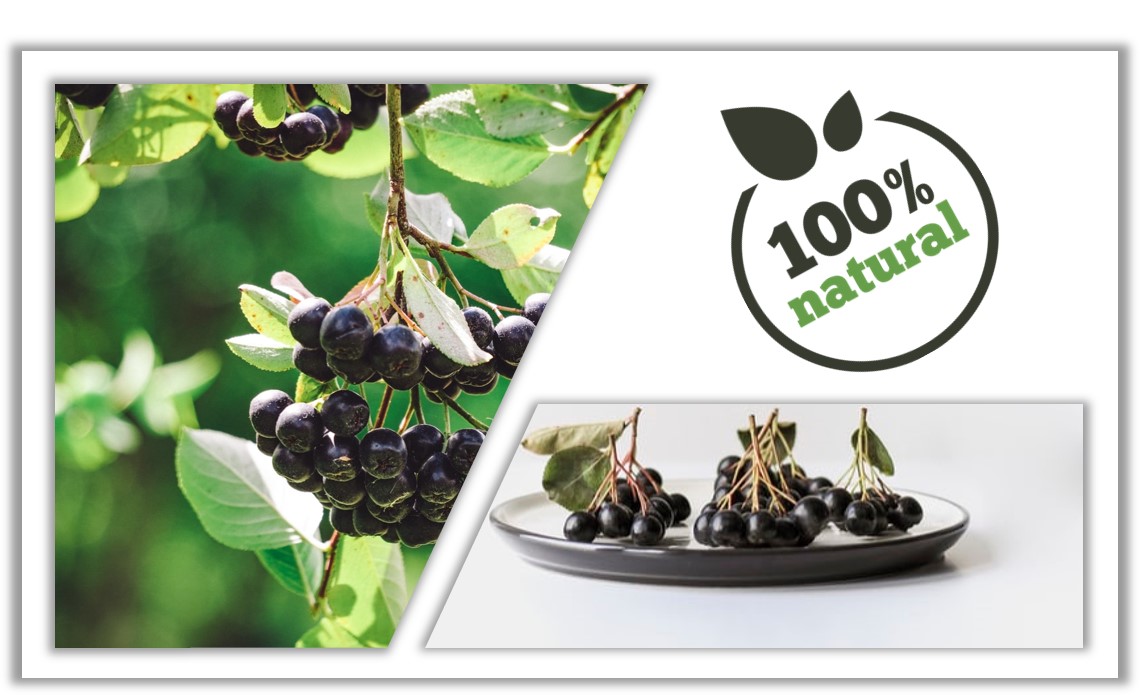 100% natural - Heide Fruchtsfte Aronia 3 Liter