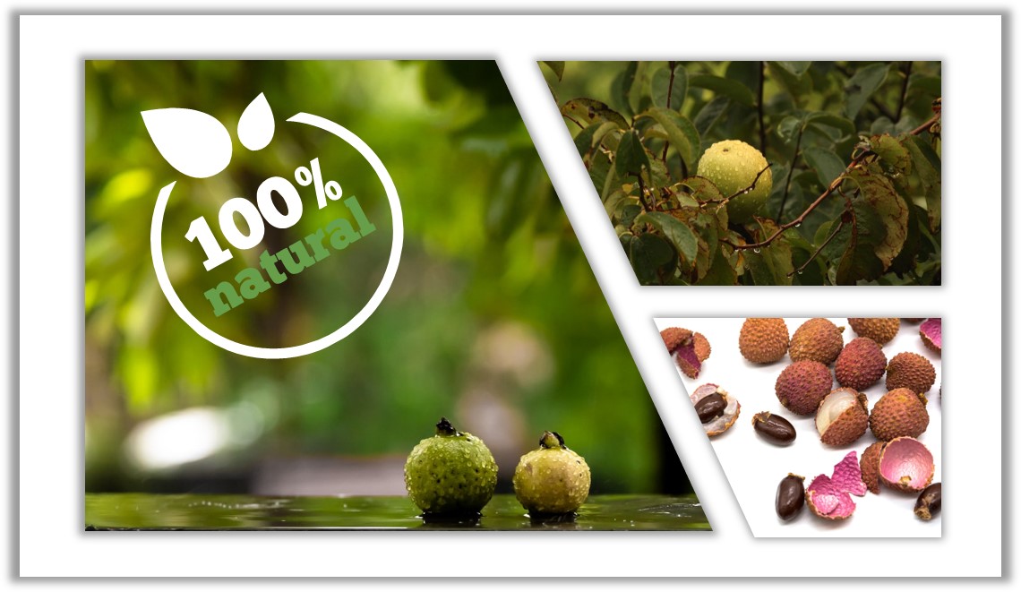 100% natural - Heide Fruchtsfte Guave Litschi-Saft