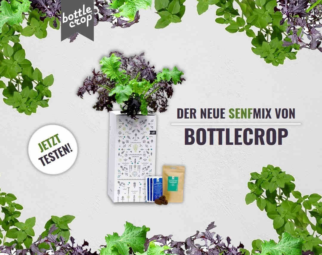 BottleCrop Kleinblättriges Basilikum aus der Flasche Urban Gardening Hydro 