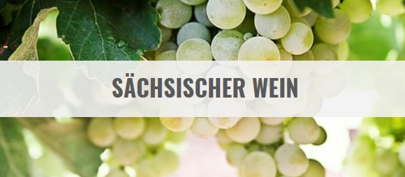 sächsische Weine regionaler Hersteller günstig online kaufen