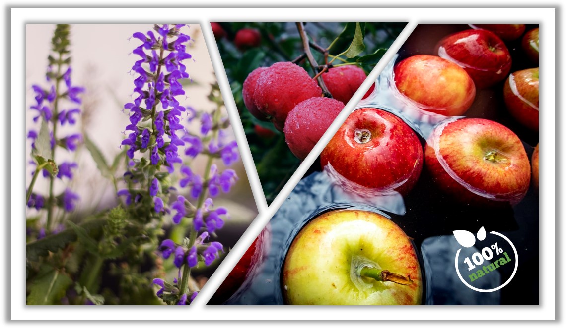 100% natural - Heide Fruchtsäfte - Apfel Salbeiblütenextrakt