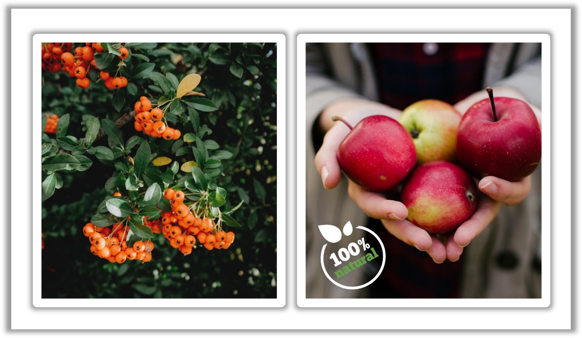 100% natural - Heide Fruchtsäfte Apfel Sanddorn