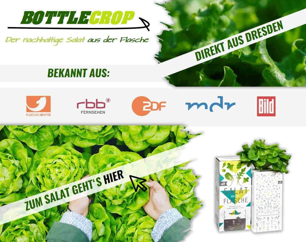 Bottlecrop Salat aus der Flasche Blog